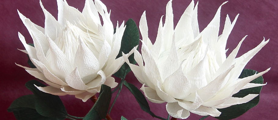 crepe paper flower workshop king protea with miss petal bloom crepe paper lotus flower