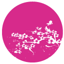 東銀座・築地の温活のエキスパート温熱サロンSAKURA