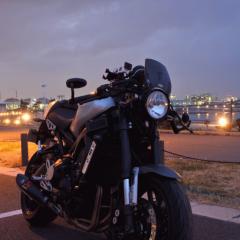 Calmo_Tiger800