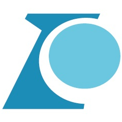 The Chamber Orchestra