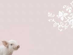 キッズいわき ぱふ Peatix