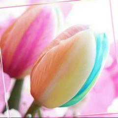 LiPPS_flower