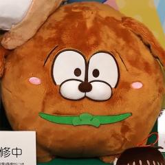 HASSY_Nishikawa