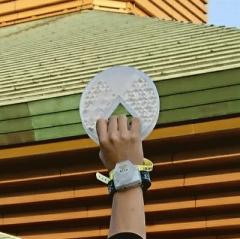 leosglare